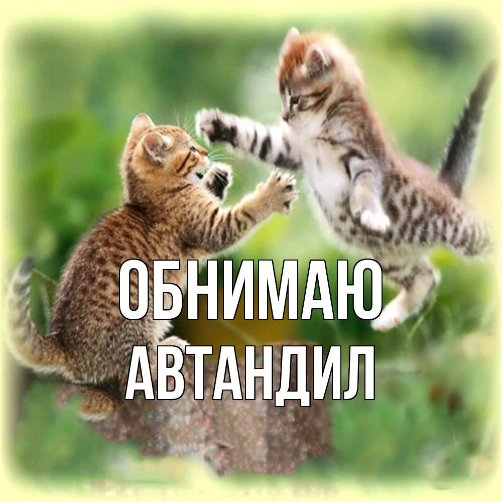 Открытка  с именем. Автандил, Обнимаю  
