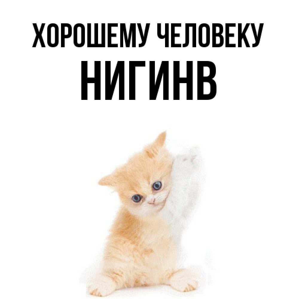 Открытка  с именем. Нигинв, Хорошему человеку  