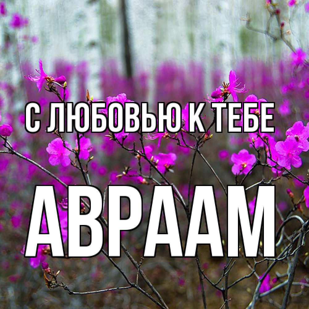 Открытка  с именем. Авраам, С любовью к тебе  