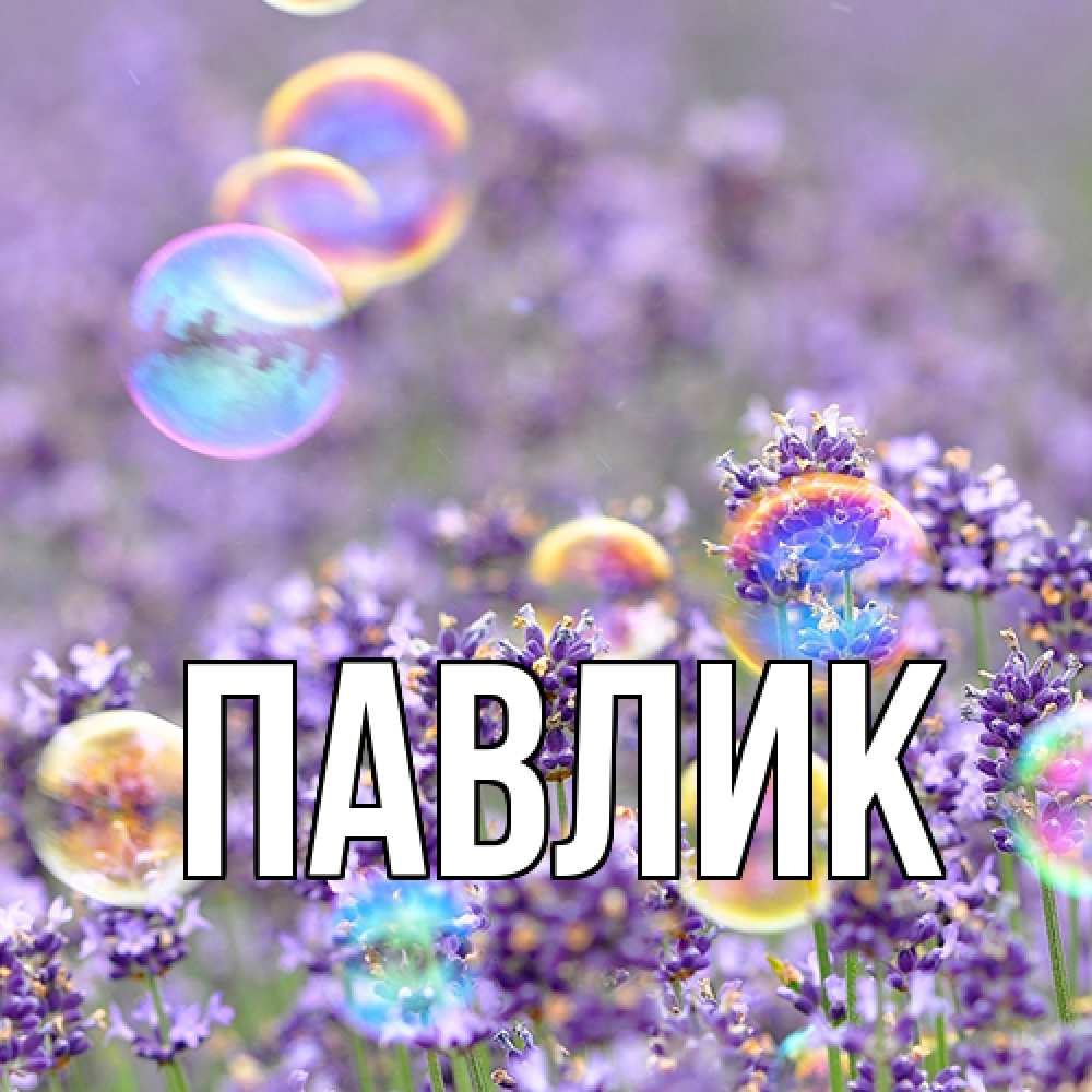 Открытка  с именем. Павлик, Главная  