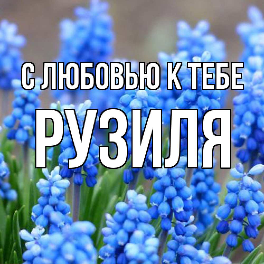 Открытка  с именем. Рузиля, С любовью к тебе  