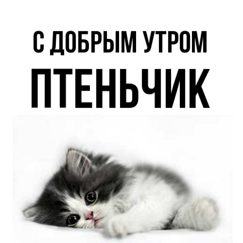 Картинка С добрым утром, Птеньчик