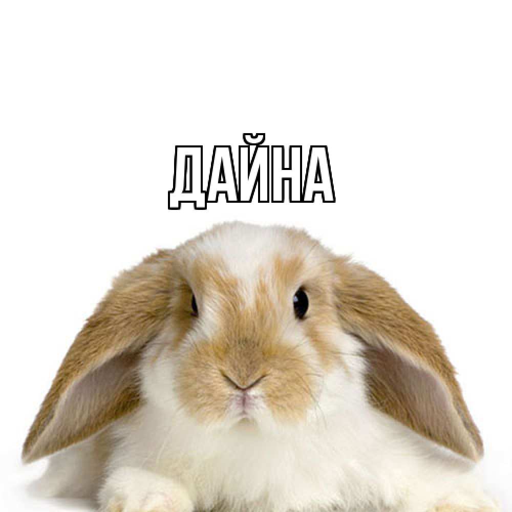 Открытка  с именем. Дайна, Главная  
