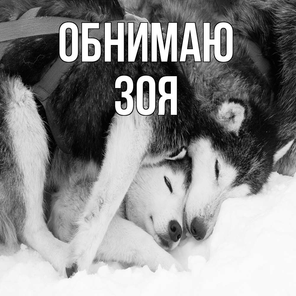 Открытка  с именем. Зоя, Обнимаю  