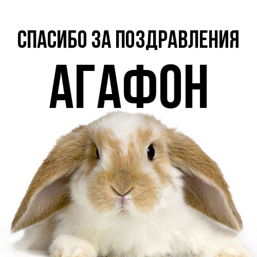 Открытка  с именем. Агафон, Спасибо за поздравления  
