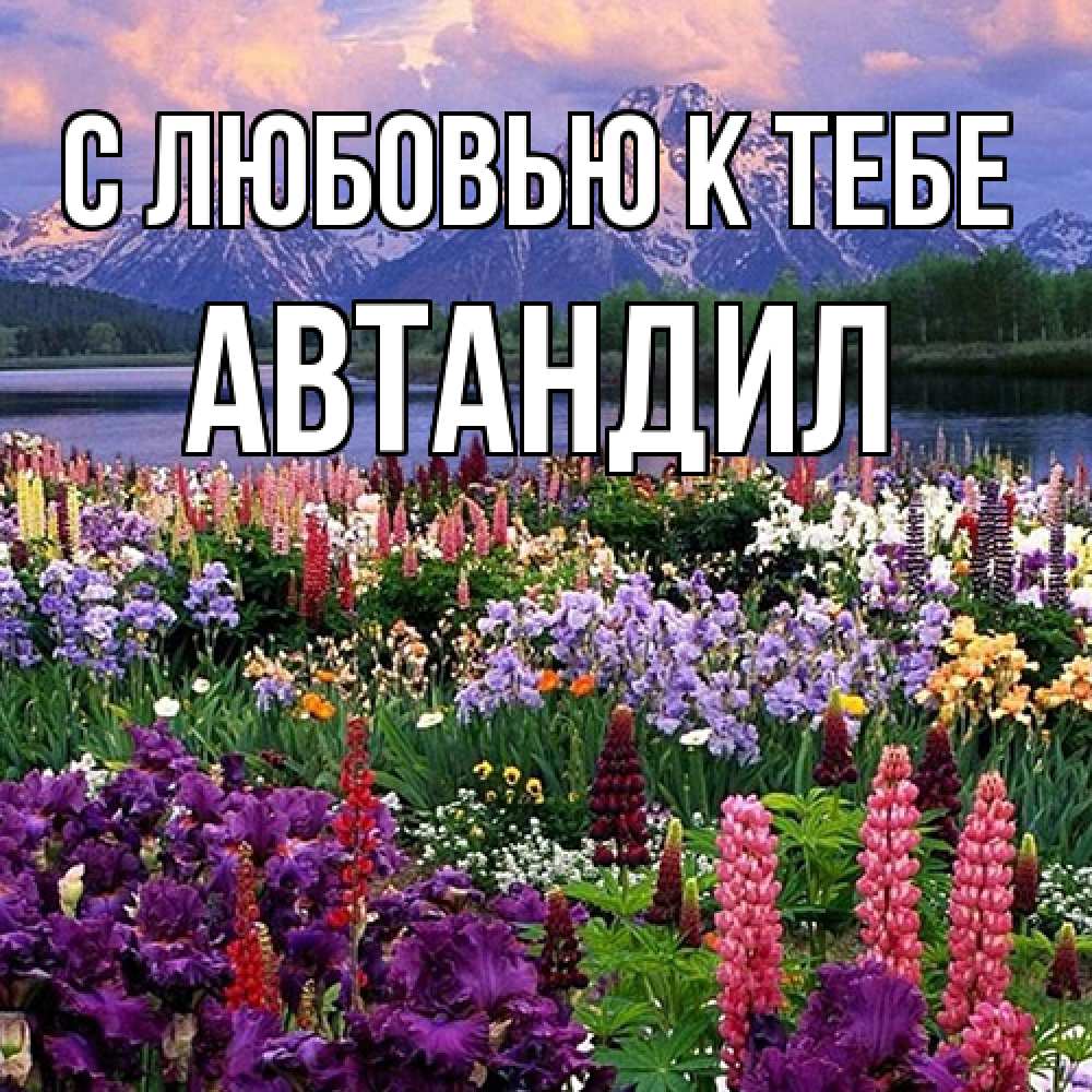 Открытка  с именем. Автандил, С любовью к тебе  
