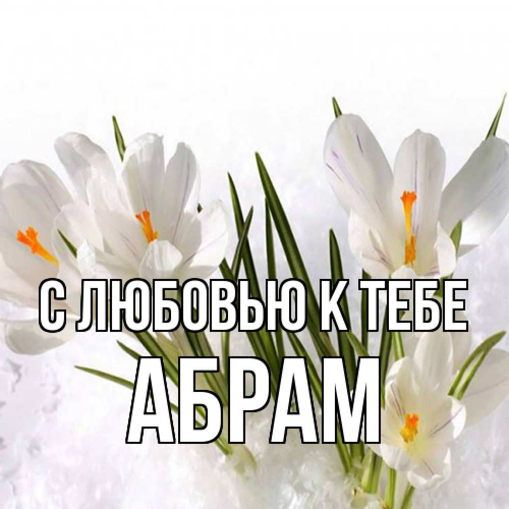 Открытка  с именем. Абрам, С любовью к тебе  