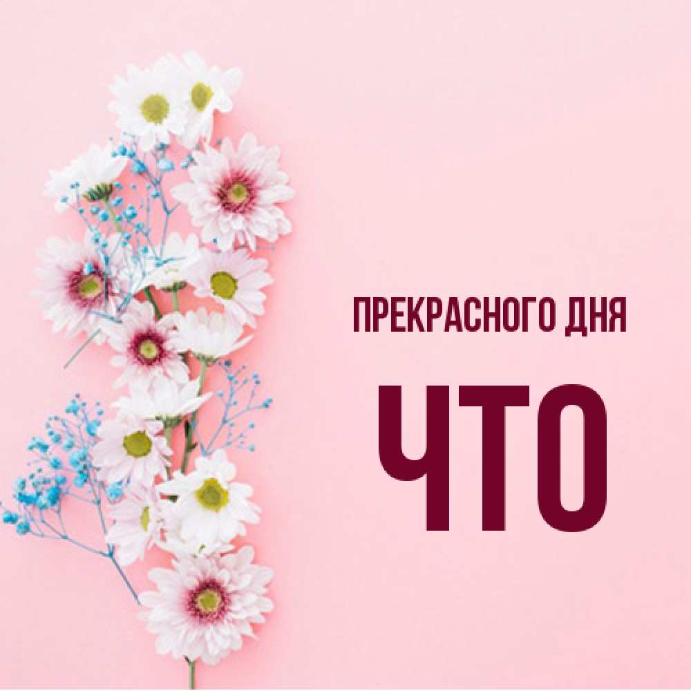 Открытка  с именем. Что, Прекрасного дня  