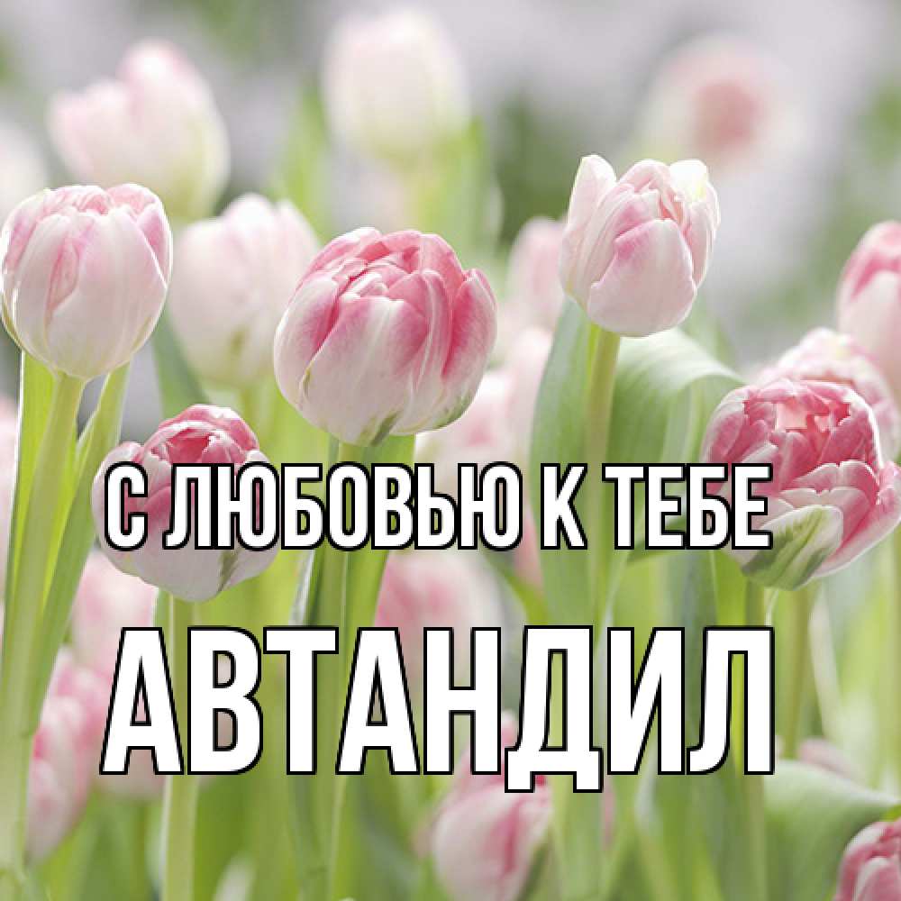 Открытка  с именем. Автандил, С любовью к тебе  