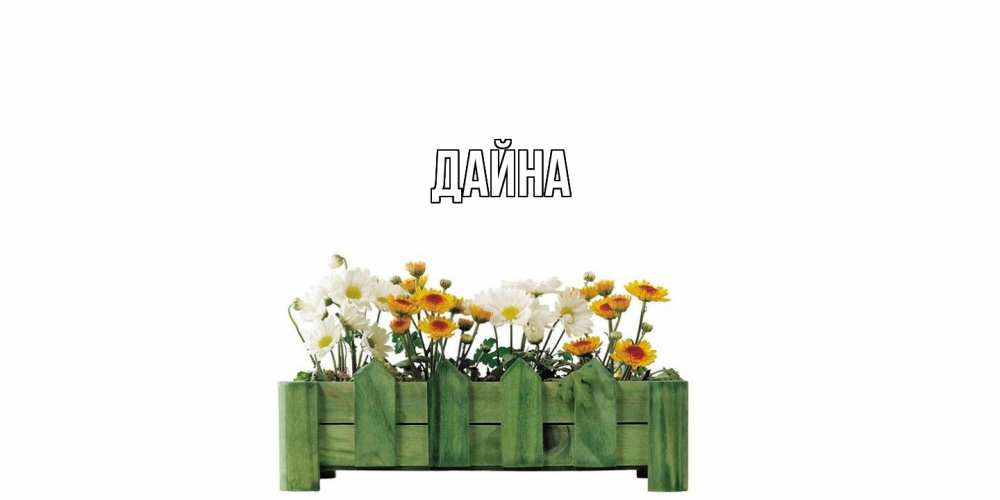 Открытка  с именем. Дайна, Главная  