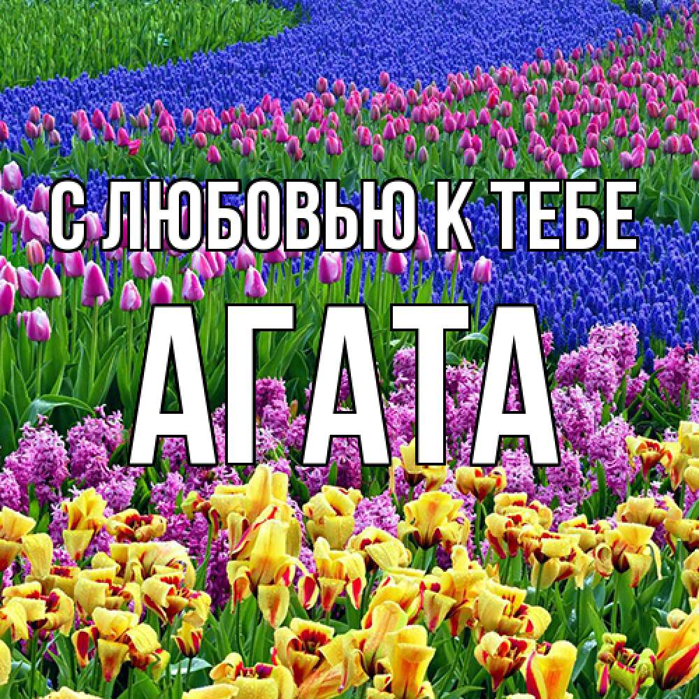 Открытка  с именем. Агата, С любовью к тебе  