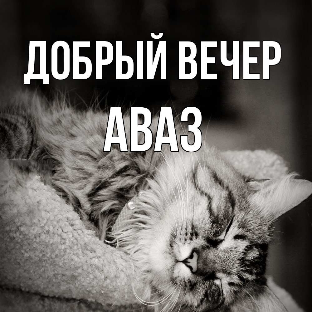 Открытка  с именем. Аваз, Добрый вечер  