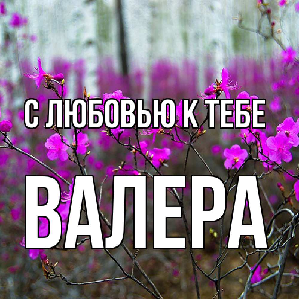 Открытка  с именем. Валера, С любовью к тебе  