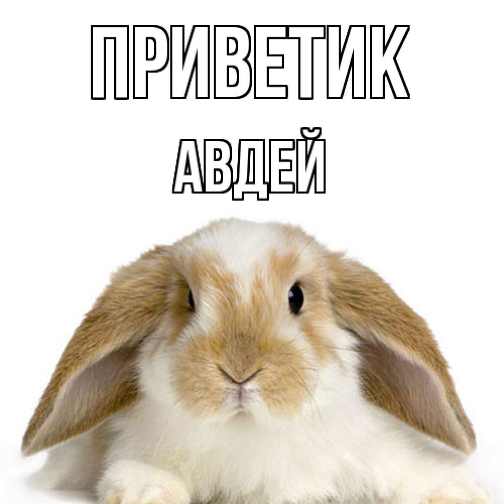 Открытка  с именем. Авдей, приветик  