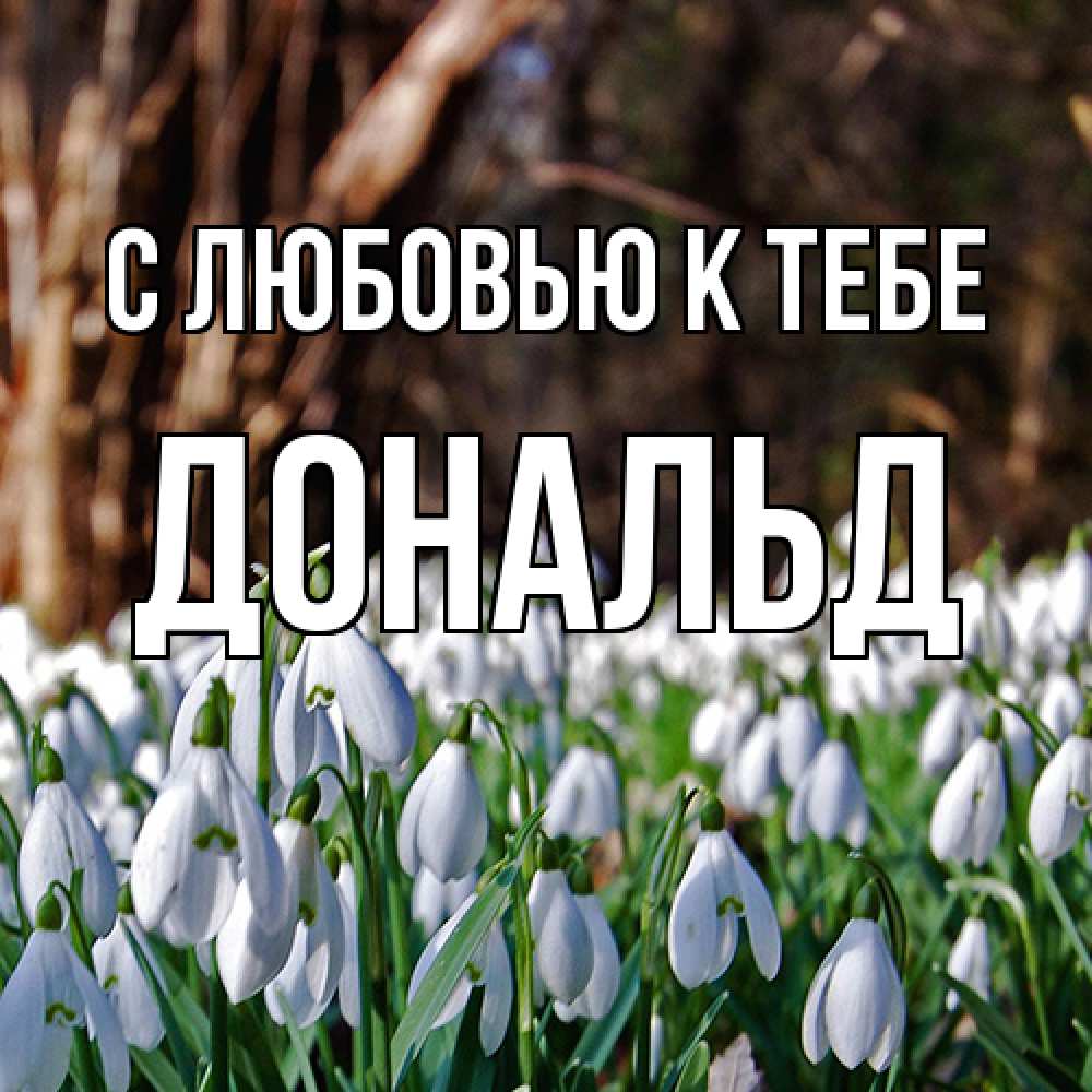 Открытка  с именем. Дональд, С любовью к тебе  