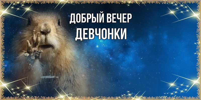 Открытка с именем, Девчонки, Добрый вечер
