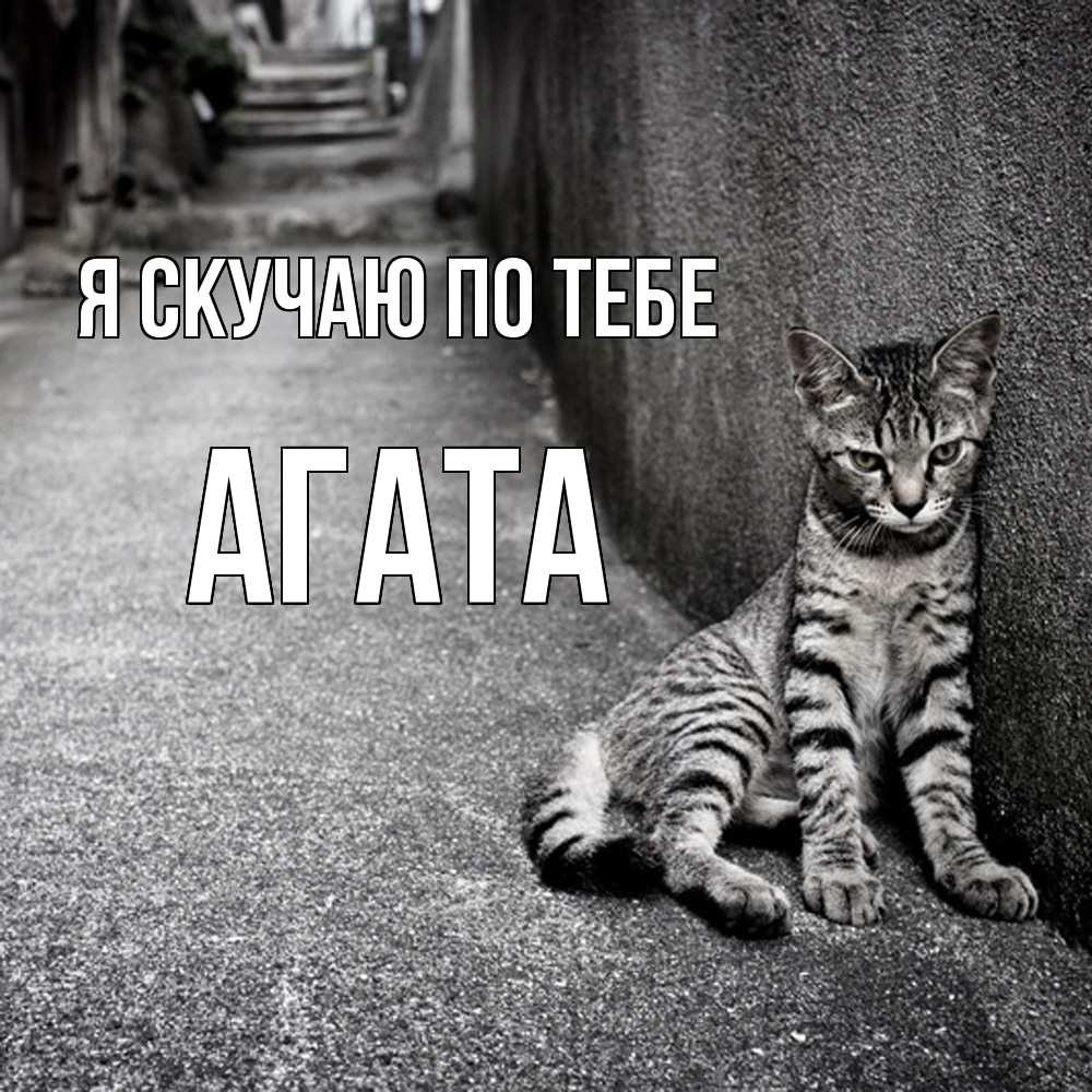 Открытка  с именем. Агата, Я скучаю по тебе  
