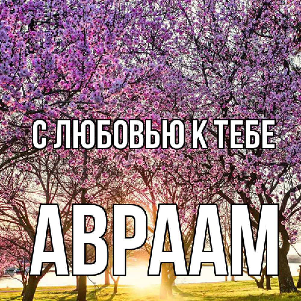 Открытка  с именем. Авраам, С любовью к тебе  