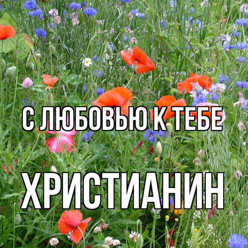 Картинка С любовью к тебе, Христианин