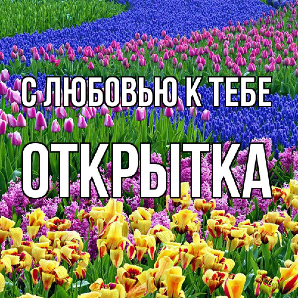 Открытка  с именем. открытка, С любовью к тебе  