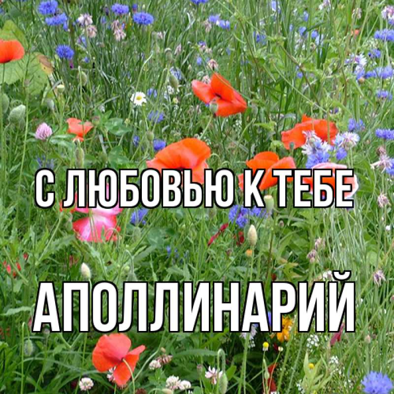 Открытка с именем, Аполлинарий, С любовью к тебе