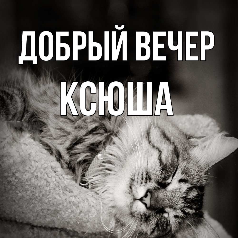 Открытка  с именем. Ксюша, Добрый вечер  