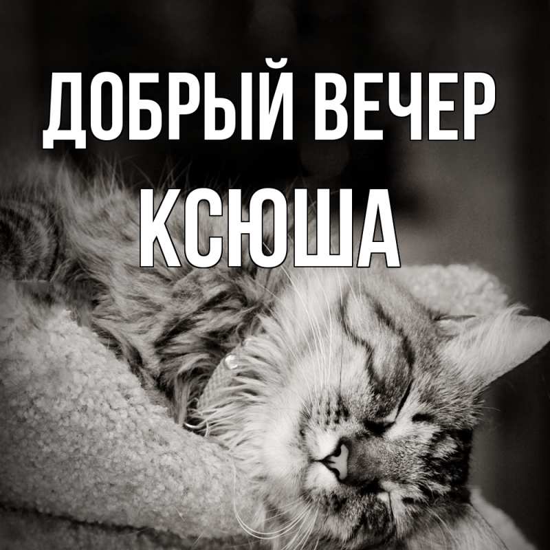 Картинка Добрый вечер, Ксюша