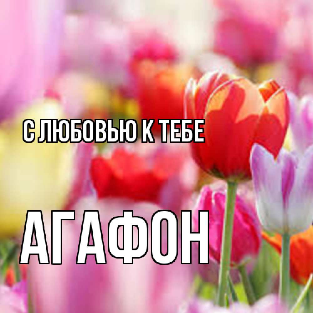 Открытка  с именем. Агафон, С любовью к тебе  