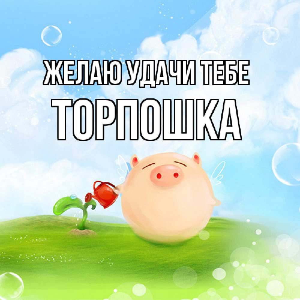 Открытка  с именем. торпошка, Желаю удачи тебе  