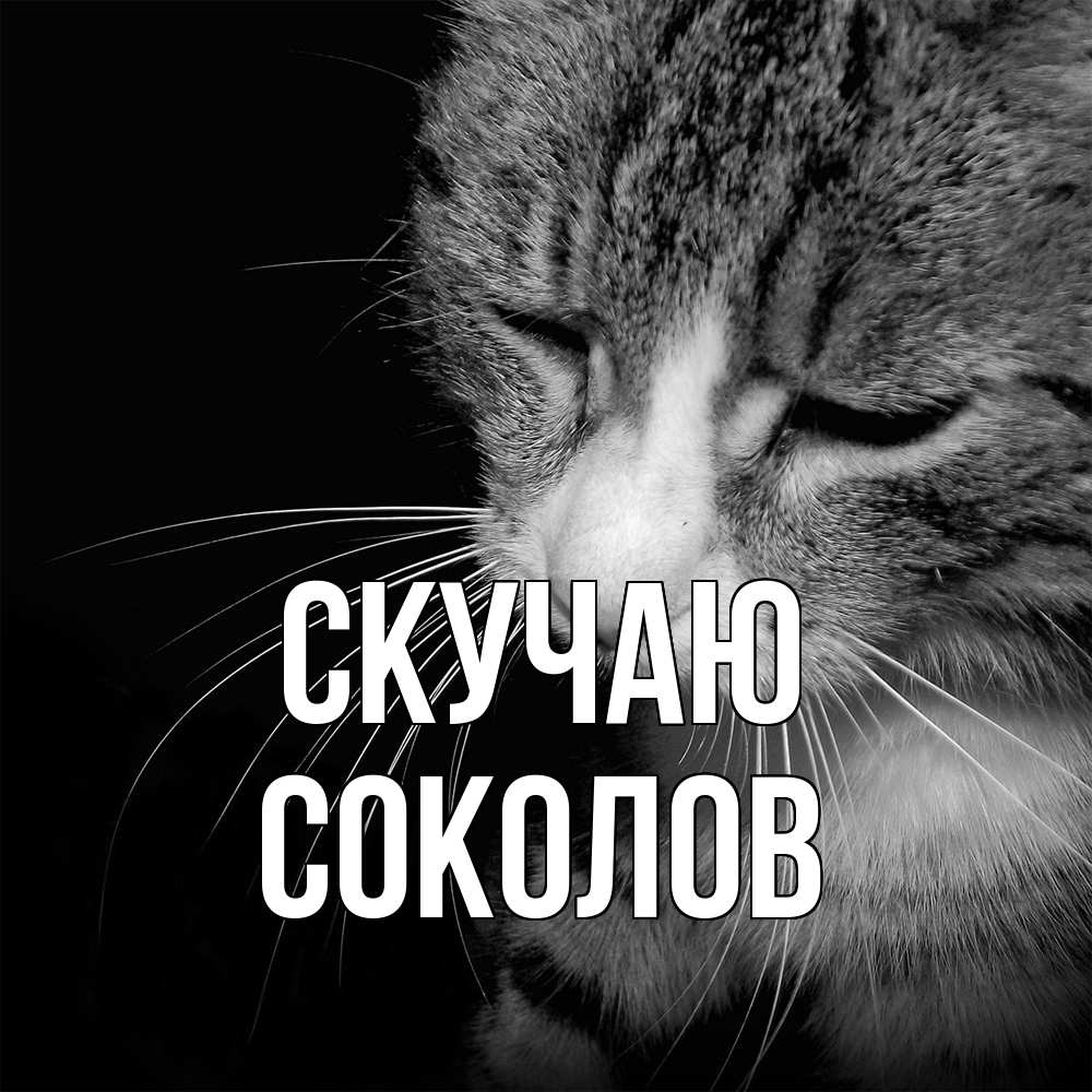 Открытка  с именем. Соколов, Скучаю  