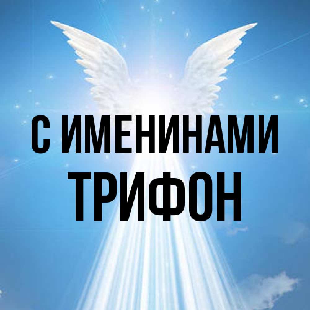 Открытка  с именем. Трифон, С именинами  