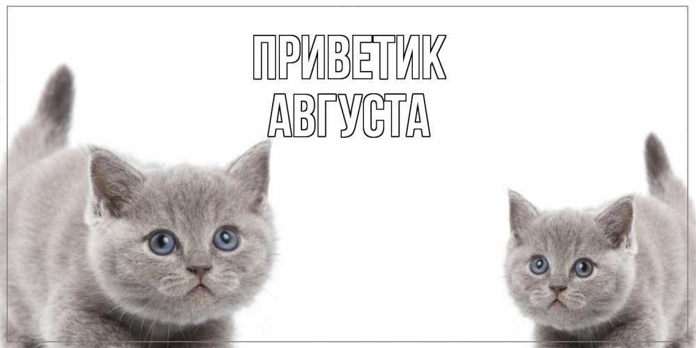 Открытка  с именем. Августа, приветик  