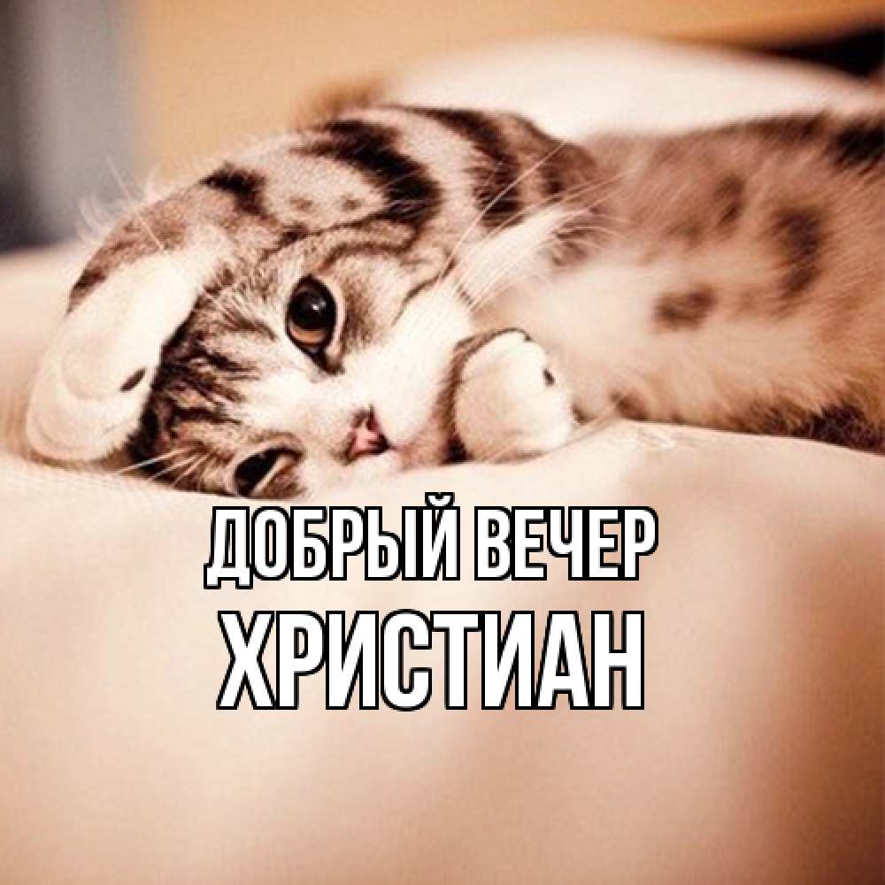 Открытка  с именем. Христиан, Добрый вечер  