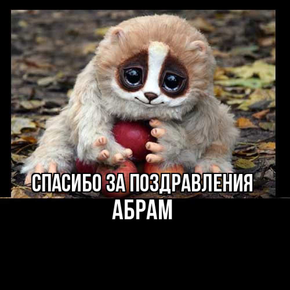 Открытка  с именем. Абрам, Спасибо за поздравления  