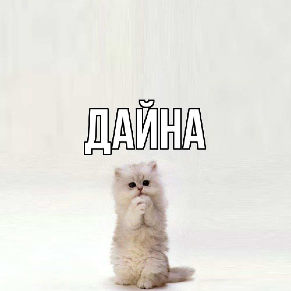 Открытка  с именем. Дайна, Главная  