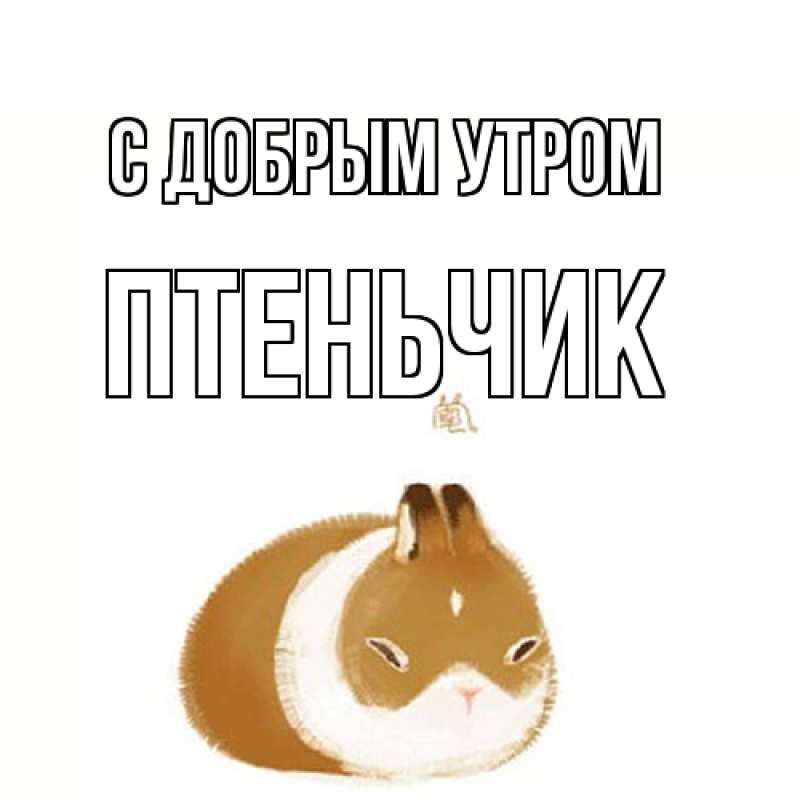 Картинка С добрым утром, Птеньчик