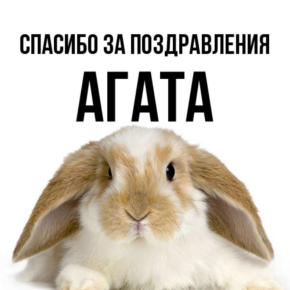 Открытка  с именем. Агата, Спасибо за поздравления  