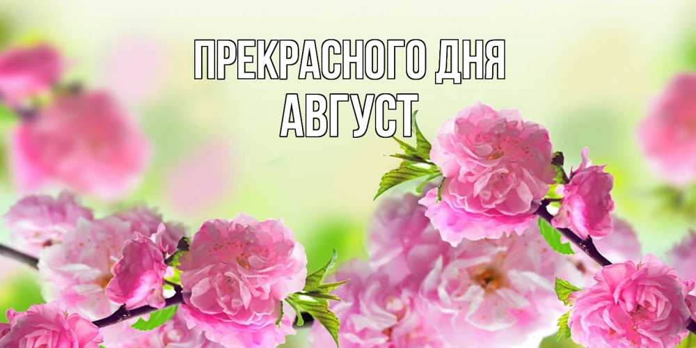 Открытка  с именем. Август, Прекрасного дня  