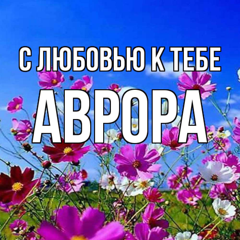 Открытка  с именем. Аврора, С любовью к тебе  