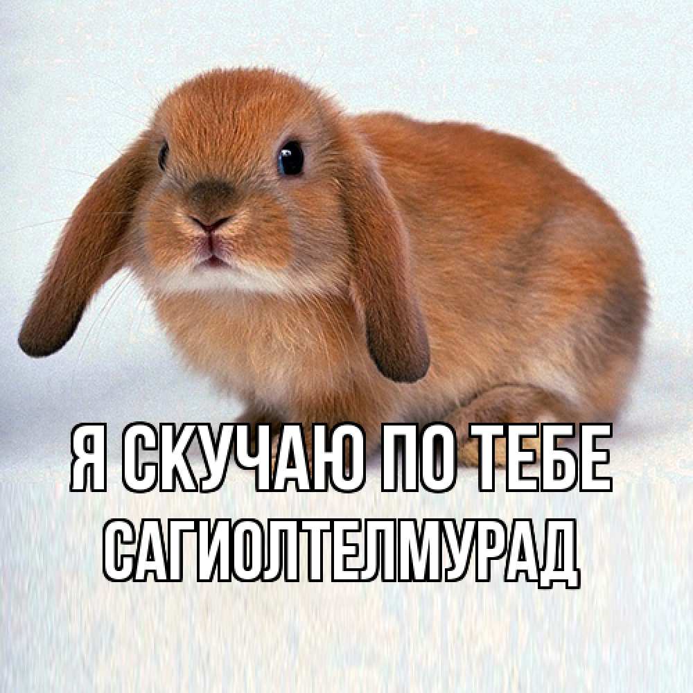 Открытка  с именем. САГИОЛТЕЛМУРАД, Я скучаю по тебе  
