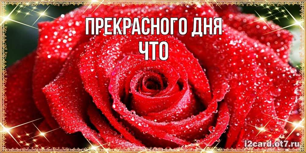 Открытка  с именем. Что, Прекрасного дня  