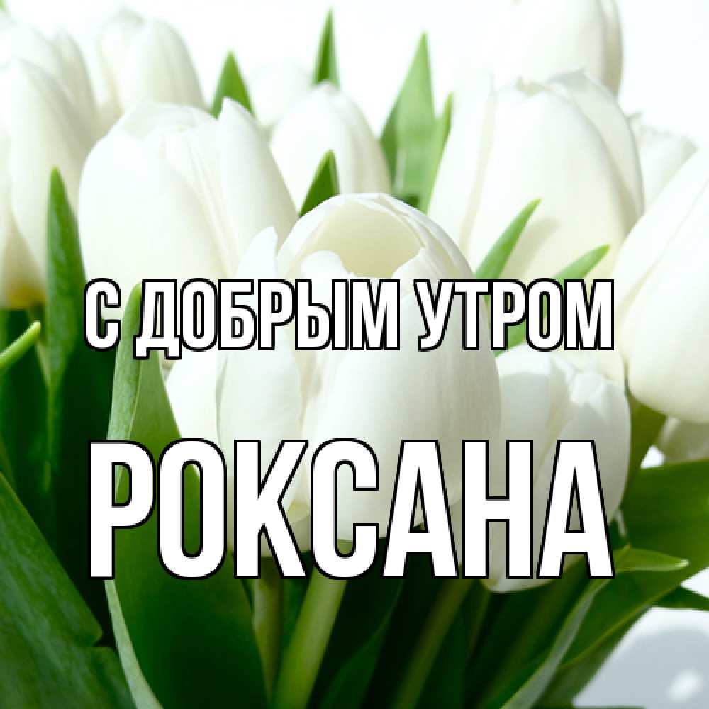 Открытка  с именем. Роксана, С добрым утром  