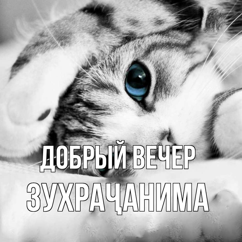 Открытка  с именем. Зухраҷанима, Добрый вечер  