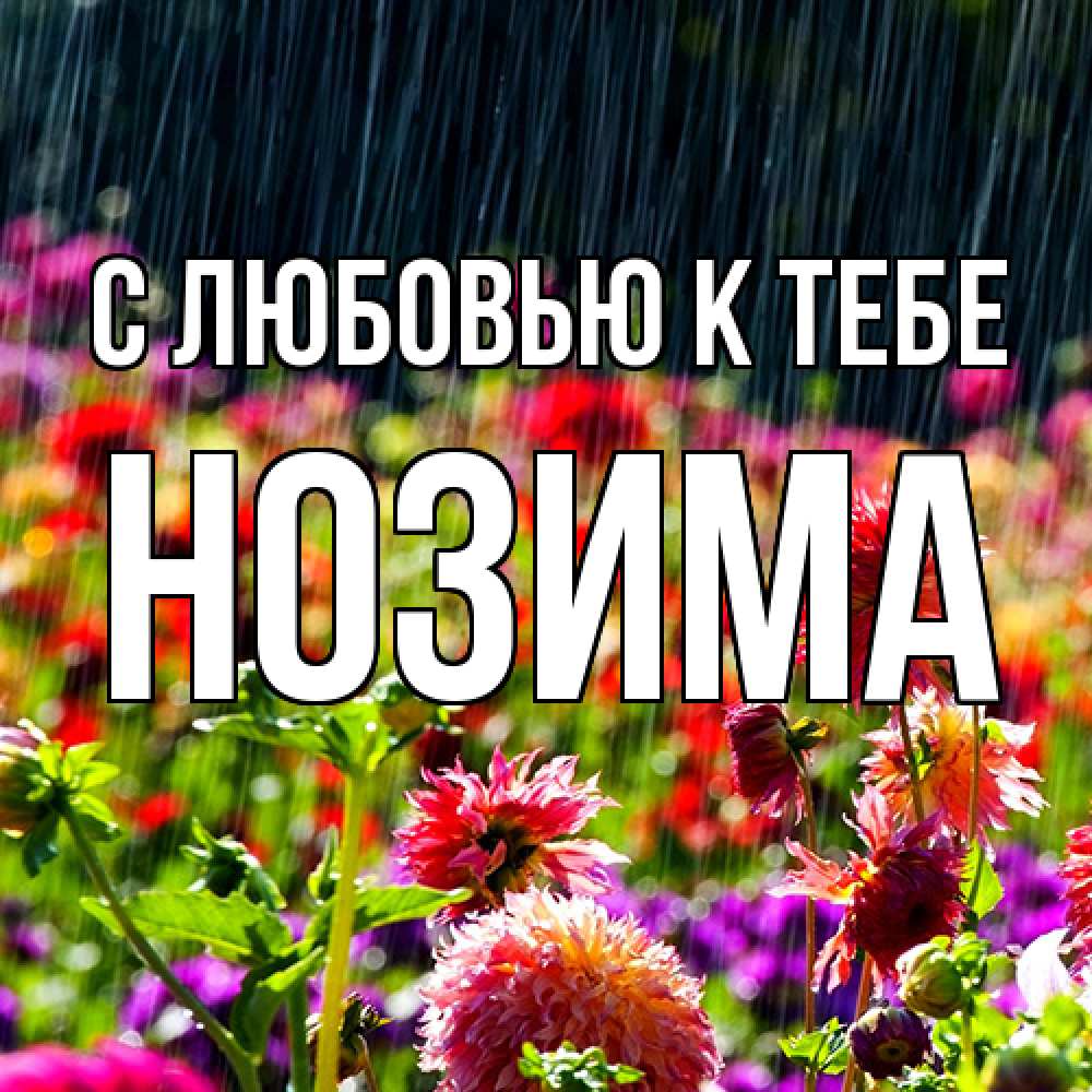 Открытка  с именем. НОЗИМА, С любовью к тебе  