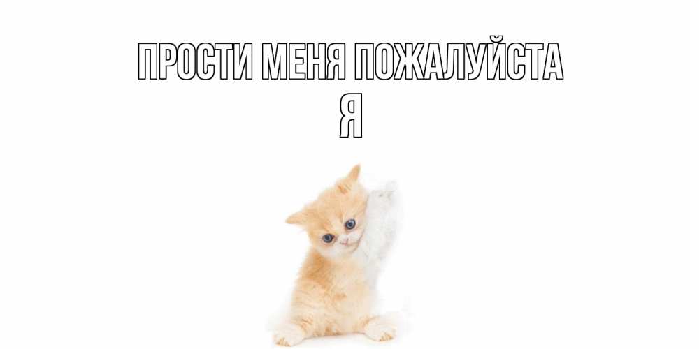 Открытка  с именем. Я, Прости меня пожалуйста  