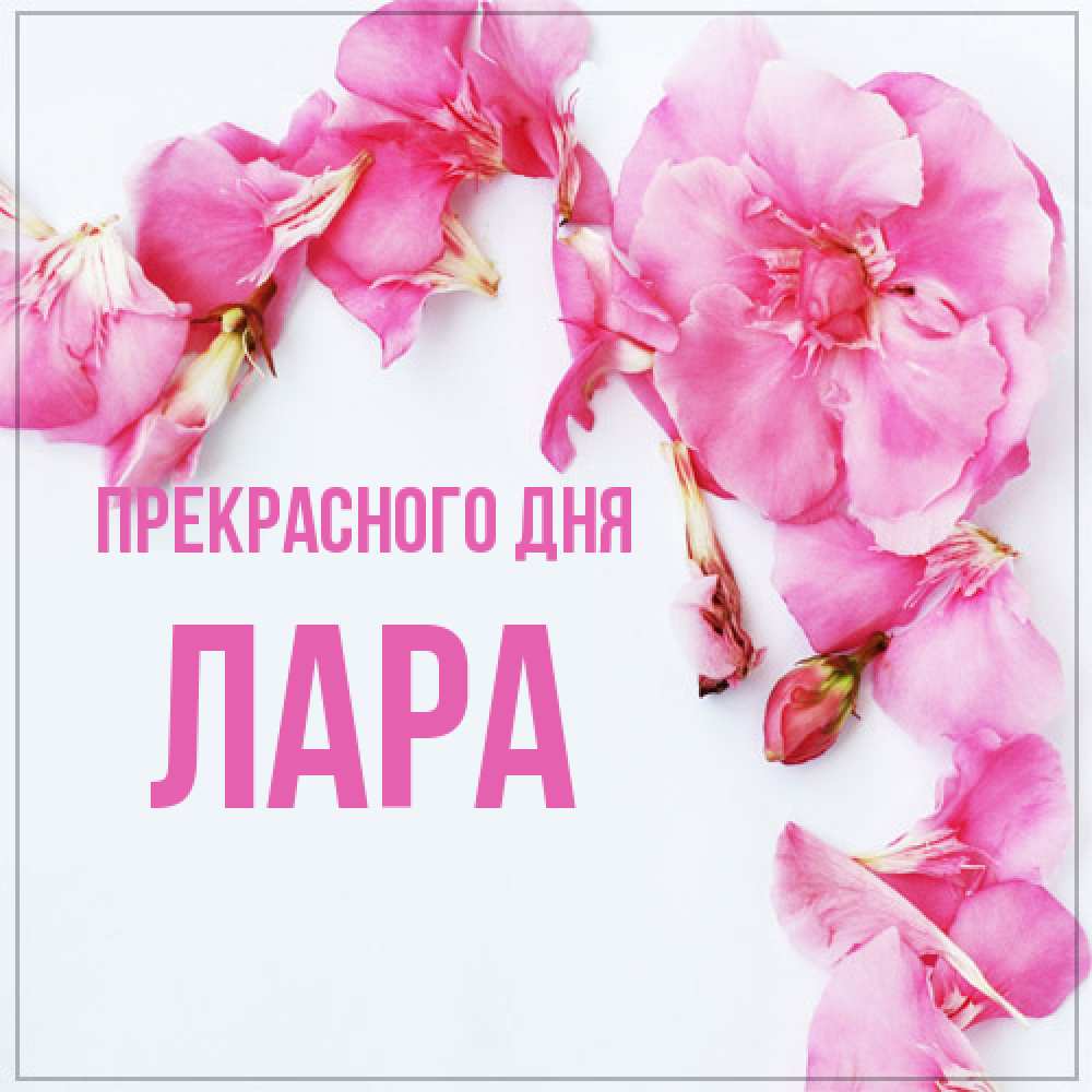 Открытка  с именем. Лара, Прекрасного дня  