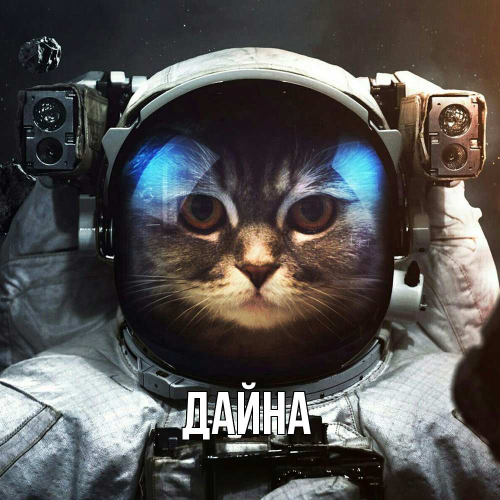 Открытка  с именем. Дайна, Главная  