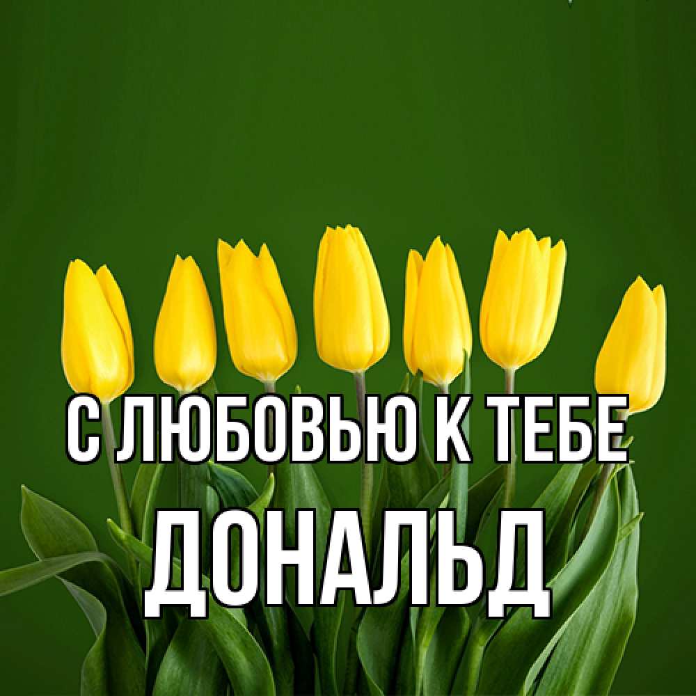 Открытка  с именем. Дональд, С любовью к тебе  