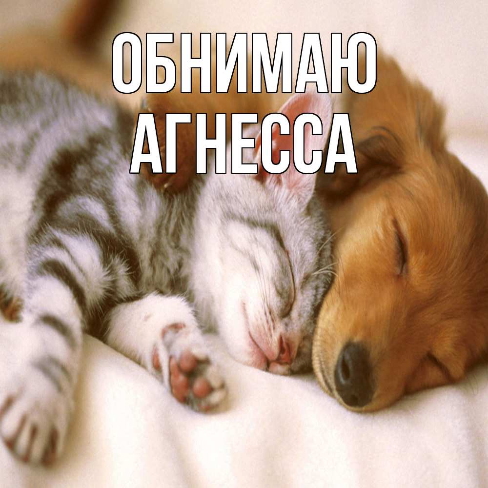 Открытка  с именем. Агнесса, Обнимаю  