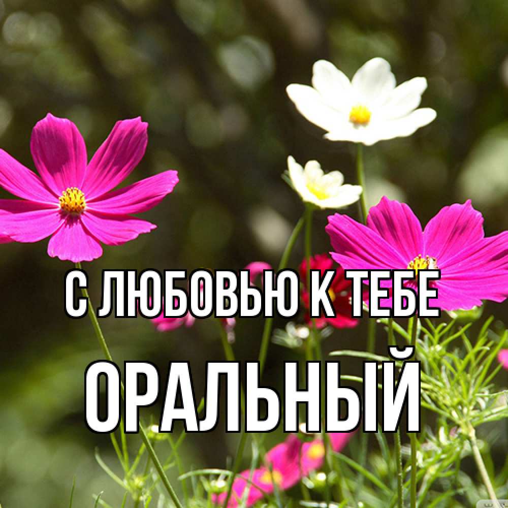 Открытка  с именем. ОРАЛЬНЫЙ, С любовью к тебе  